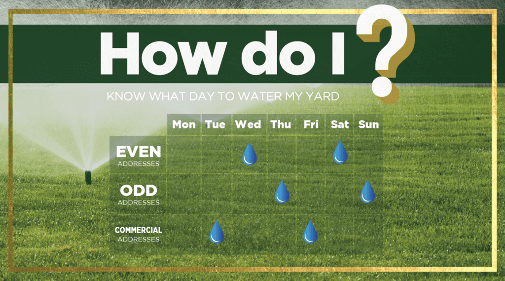 Yard Watering Schedule