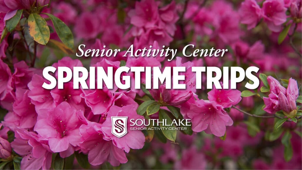Senior Spring Trips